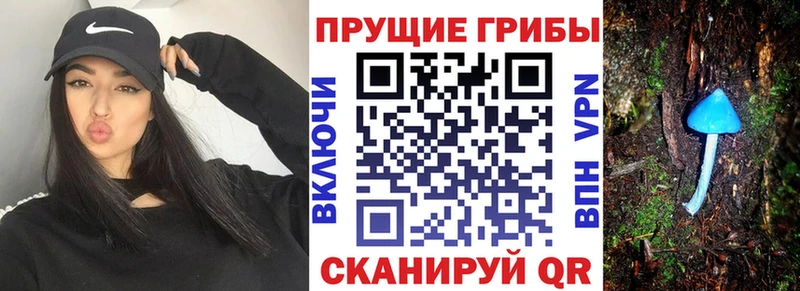 Псилоцибиновые грибы GOLDEN TEACHER  Сердобск 