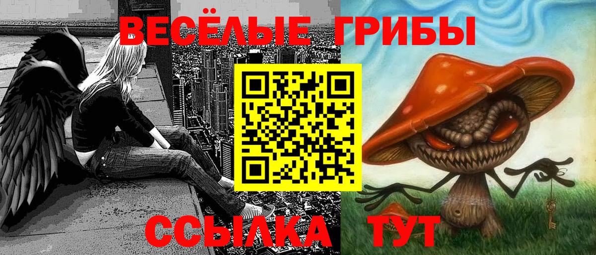 Галлюциногенные грибы Cubensis Сердобск