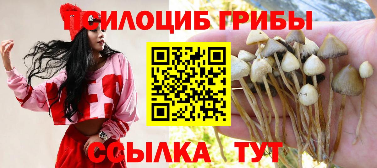 Сердобск  Галлюциногенные грибы Psilocybe  Вход с VPN 